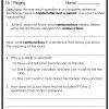 Junie B. First Grader, Aloha-ha-ha! Novel Study - Image 3